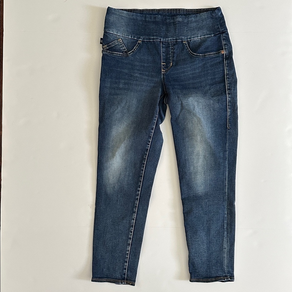 Rock & Republic Denim RX Fever Crop Pull On Slimming Denim Legging Stretch